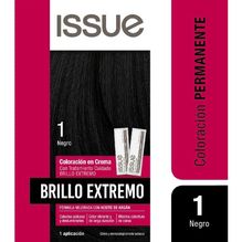 Issue Brillo Extremo Coloración Permanente Kit