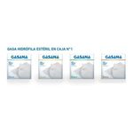 Gasana-Gasa-Esteril-30x30-2-Sobres-10-Gasas-Por-Sobre-en-FarmaPlus