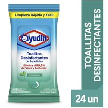 Ayudin Toallitas Desinfectantes Flowpack Fresco 24 Unidades