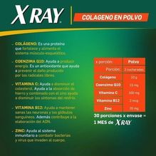 X Ray Colágeno Vitamina B12 Polvo 321g X 2 Unidades
