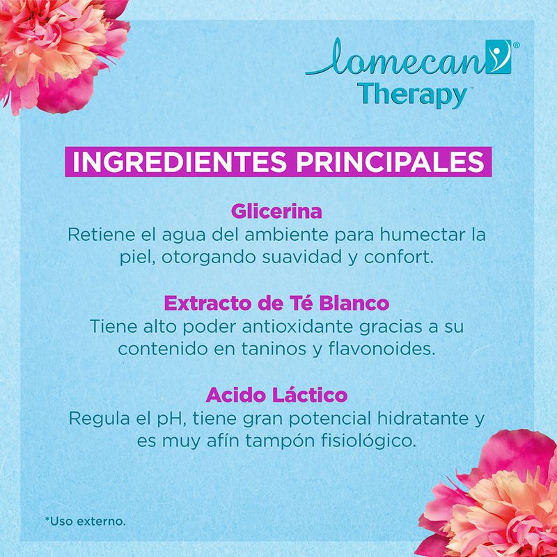 Lomecan Therapy Toallitas íntimas Húmedas De Limpieza X 10 Unidades -  Farmacia Leloir - Tu farmacia online las 24hs