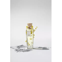 Adolfo Dominguez Mimosa Coriandro Etd Perfume Mujer 120ml
