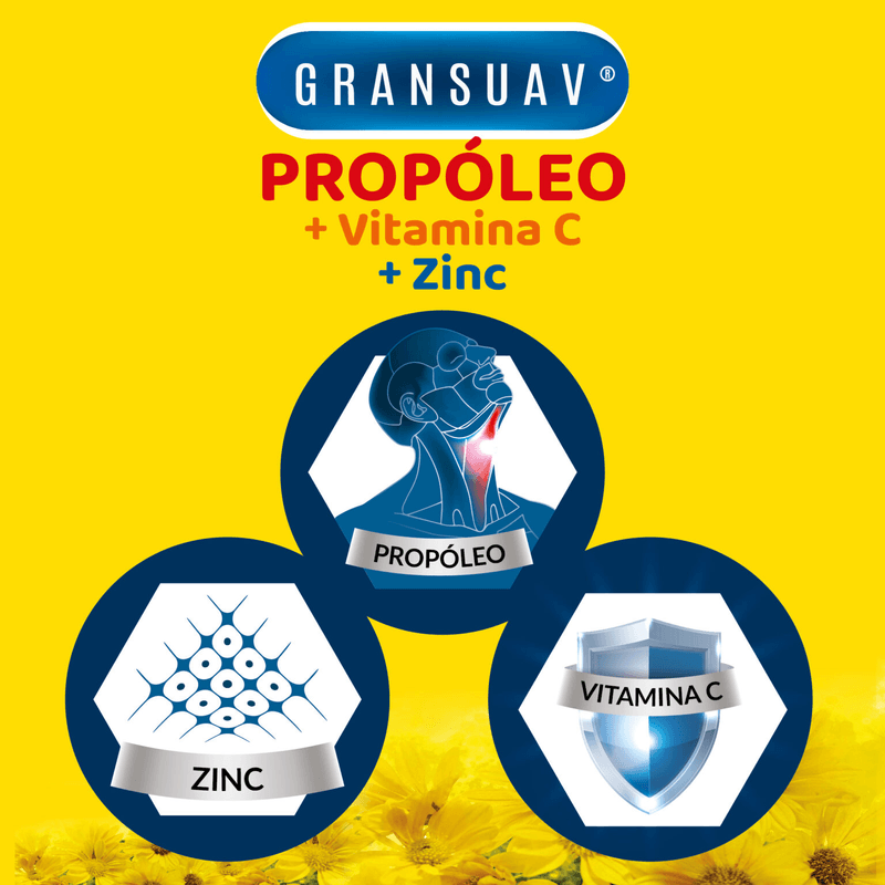 GSV-04-Lanzamiento-Wapp-05-1536x1536