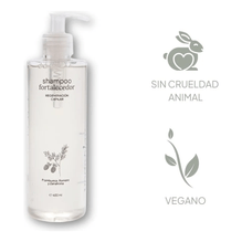 Shampoo Fortalecedor Vegaplay Frambuesa Y Romero 400ml