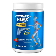 Colágeno Tipo 2 Flex Advanced Geonat Sabor Cítrico 375g