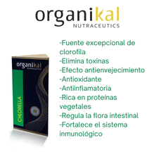 Chlorella 100% Pura Organikal Vit B12 Efecto Detox 60 Caps.