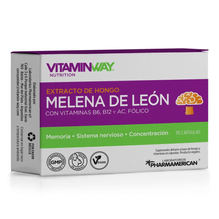 Melena De Léon Memoria Y Concentración Vitamin Way 30 caps