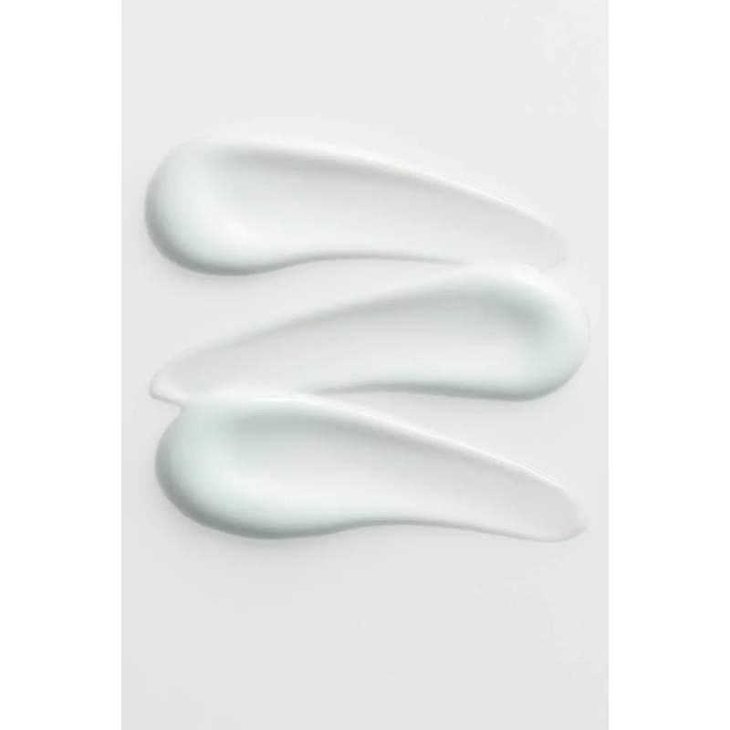 image2.png