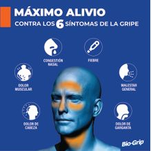 BioGrip Té Descongestivo Antigripal 5 sobres