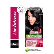 Garnier Nutrisse Cor Intensa Coloración Permanente X 45 Gr