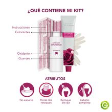Garnier Nutrisse Cor Intensa Coloración Permanente X 45 Gr
