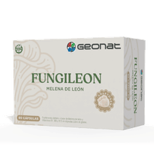 Geonat Fungileon Melena De León 60 Cápsulas