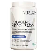 Suplemento Colágeno Vitalgen VITALGEN Blueberry 360g