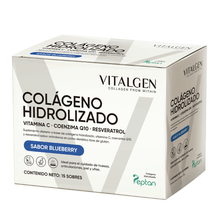Suplemento Colágeno Vitalgen Sabor Blueberry 360g